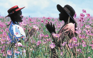 How Well Do You Know The Color Purple?