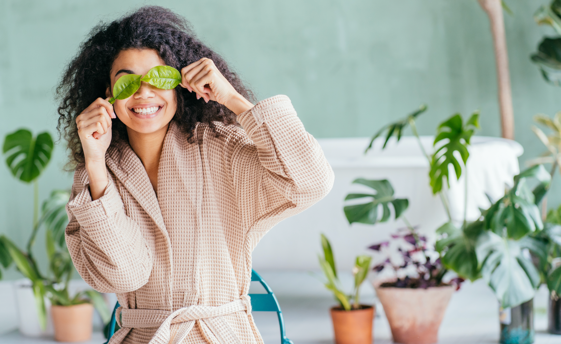 4 House Plants to Help Improve Your Well-Being