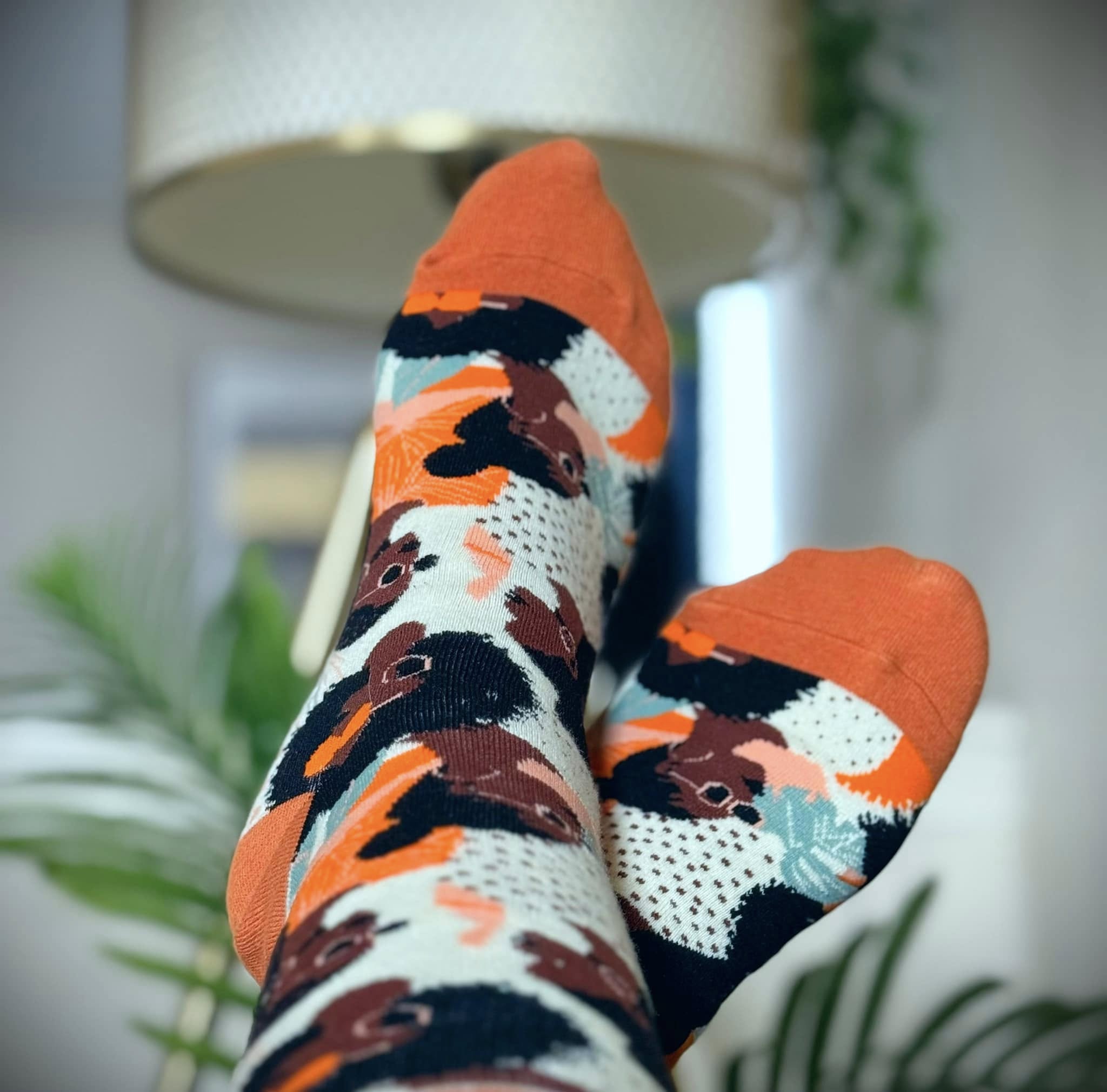 Sole Sista Sock Club