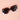 The Kimberly Oversized Sunglasses w/Case