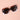 The Kimberly Oversized Sunglasses w/Case